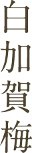 白加賀梅